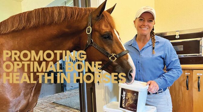 Promoting Optimal Bone Health In Horses