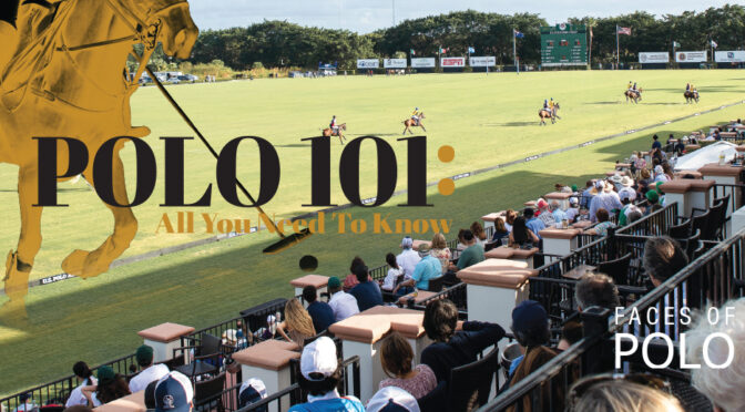 POLO 101: All You Need To Know