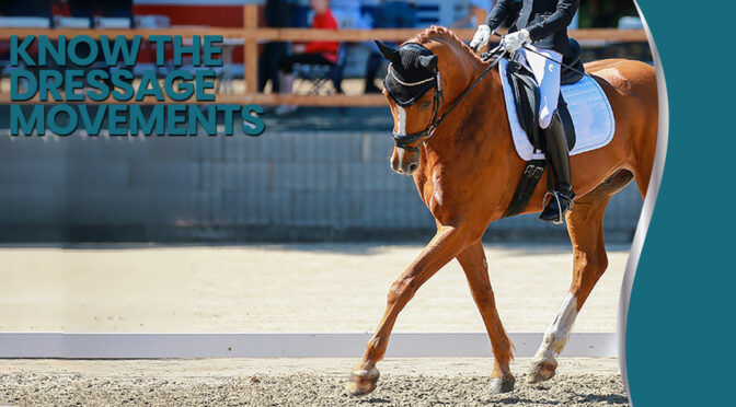 Know The Dressage Movements