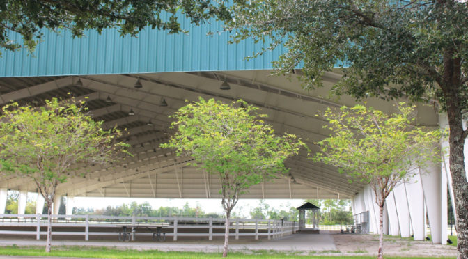 Jim Brandon Equestrian Center Features Events For All Riding Levels