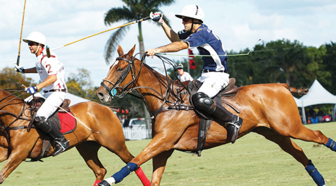 International Polo Club Ready For An Action-Packed 2017 Season