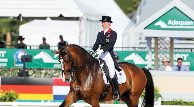 Faces of Dressage