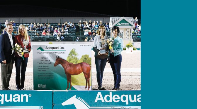 Growth Of Dressage Festival Serves As Biggest Reward For Dedicated Sponsors