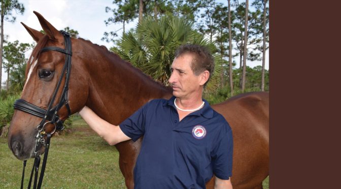 Wellington-Based Tota Comfort System A Leap Forward In Headgear For Horses