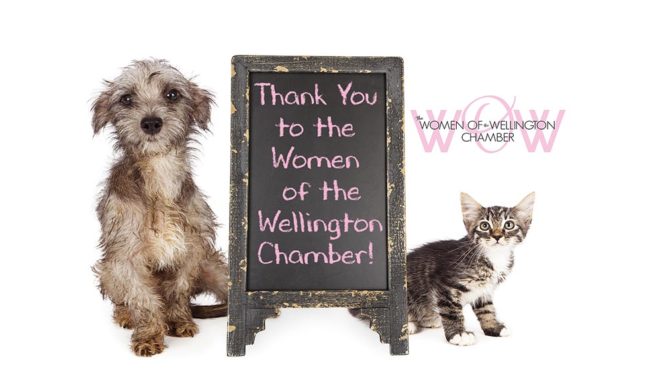 Women Of Wellington Reach Out To  Help Animals, Children And More
