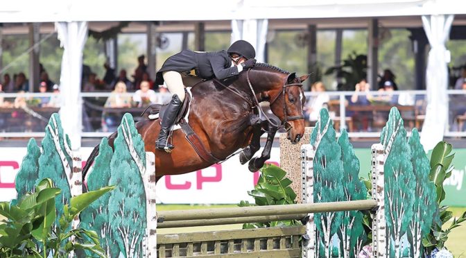 Deeridge Farms Showcases Top Hunters At Inaugural Deeridge Derby Weekend