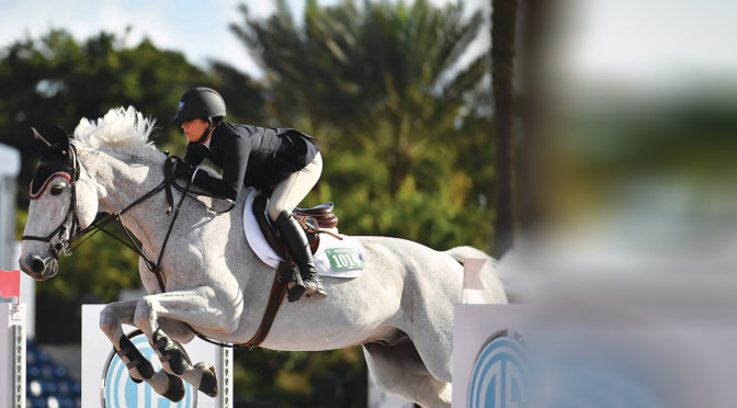 Show Jumper Nicole Loochtan  Makes A Career Move To Wellington