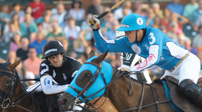 GLADIATOR POLO Returns to Wellington Bigger and Better in January 2018