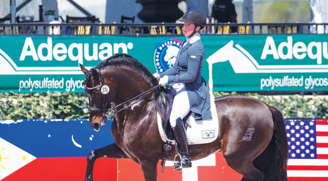 Kerrigan Gluch Rides P.R.E. Horses To Success On Dressage Circuit