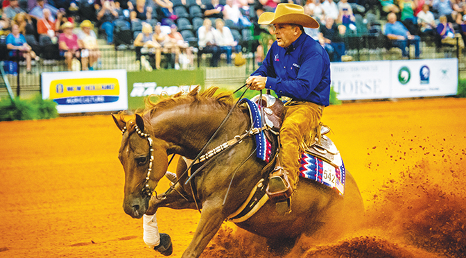 World Equestrian Games Brings Two Weeks Of  Exciting Competition To Tryon