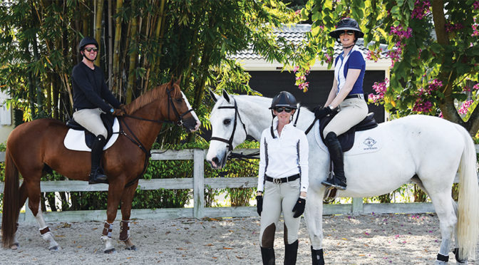 Horse Roots Run Deep In The Jayne Family Of Our Day Farm