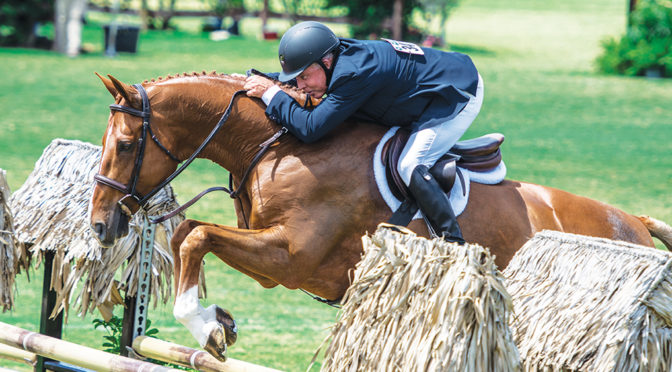 More Than The Competitions Enjoying A Visit To The Winter Equestrian Festival