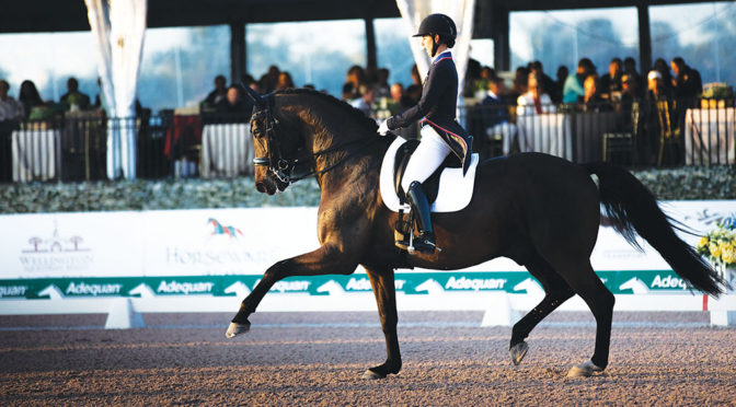 Busy Year Ahead For Dressage Star Kasey Perry-Glass And Dublet