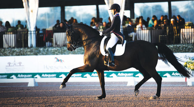 Busy Year Ahead For Dressage Star Kasey Perry-Glass And Dublet