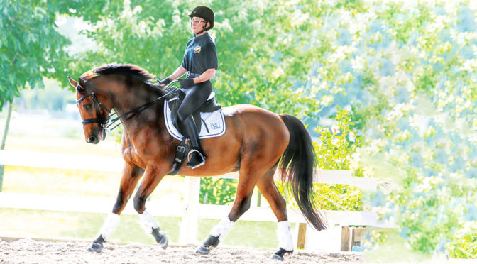 Gold Coast Dressage Association Turns 35 With  Noreen O’ Sullivan At The Helm