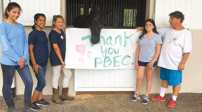 Palm Beach Equine Clinic Helps Keep The Horses Of Vinceremos In Top Form