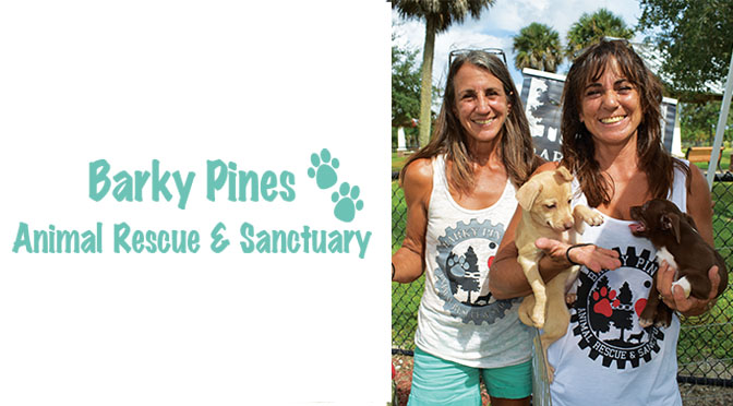 Barky Pines Animal Rescue & Sanctuary