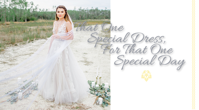 That One Special Dress, For That One Special Day