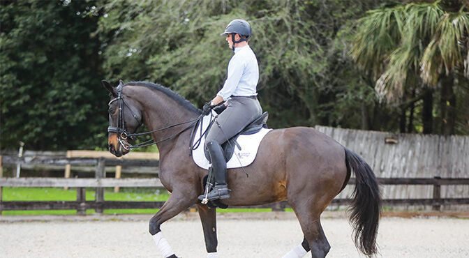Dressage Competitor And Trainer Allison Kavey Brings A Fresh Outlook To Riders Of All Disciplines