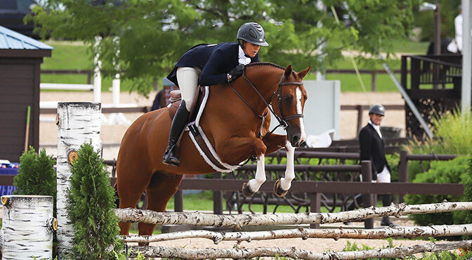The Rise Of Millar Brooke South