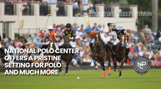 National Polo Center Offers A Pristine Setting For Polo And Much More