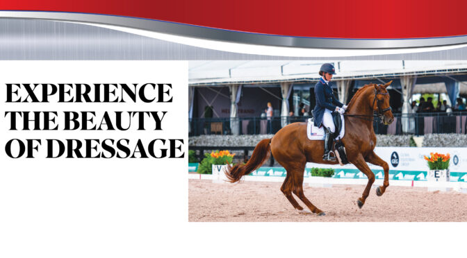 Experience The Beauty Of Dressage