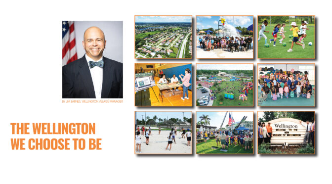 The Wellington We Choose To Be